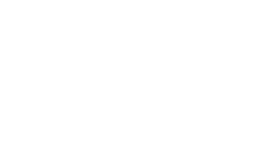 sald-logo_white-logo